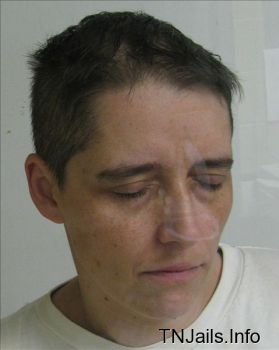 Stephanie  Johnson Mugshot