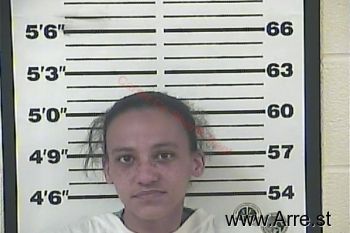 Stephanie Lynn Price Mugshot