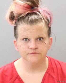 Samantha Lorin Terry Mugshot