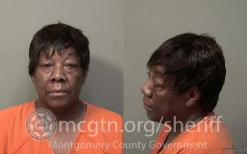 Sandra Denise Watkins Mugshot