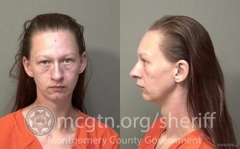 Sarah Carolyn Raymer Mugshot