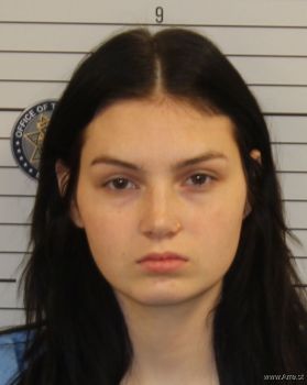 Sarah E Ward Mugshot