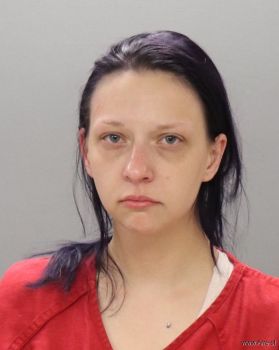 Sarah Nicole Phillips Mugshot