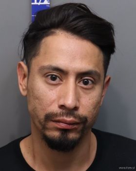 Saul Ares Guzman Morales Mugshot