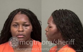 Seanicia Faye Hudson Mugshot