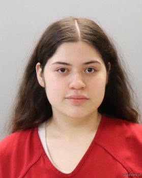 Selena J Hernandez Mugshot