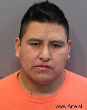 Sergio Everildo Ramos-rameriz Mugshot