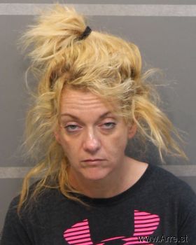 Shannon Deniese Johnson Mugshot