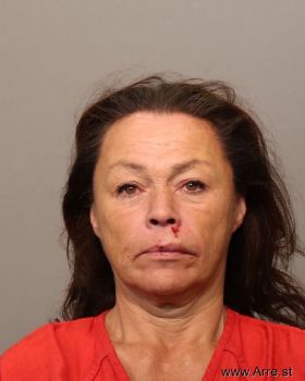 Sheri Ann Larkin Mugshot