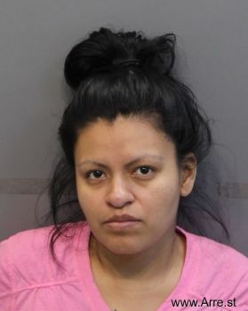 Sindy Anel Ortiz Mugshot