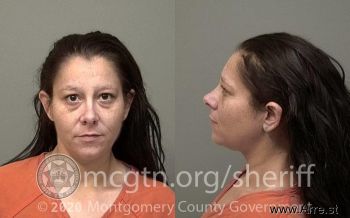 Stacey Leigh Gray Mugshot