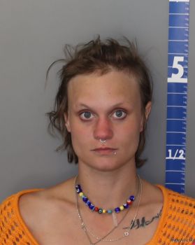 Stephanie Hope Anderson Mugshot