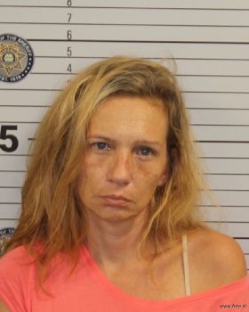 Stephanie Joanna Jones Mugshot