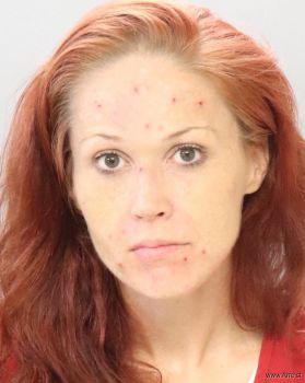 Stephanie Lynn Nelson Mugshot