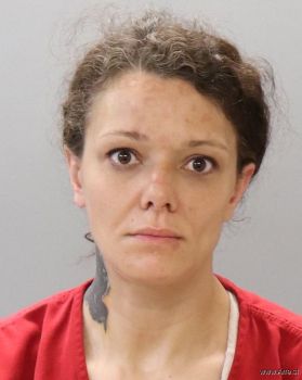 Sydney Leigh Howard Mugshot