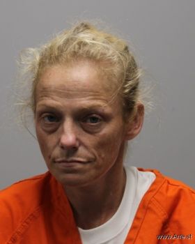 Tammy Jane Ludwig Green Mugshot