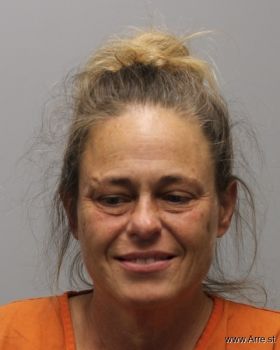 Tammy R Sullivan Mugshot