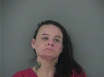 Teresa Lynn Fields Mugshot