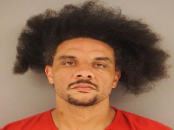 Terry Shawn Davis Mugshot