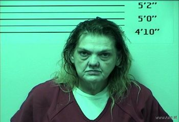 Tina Knox Harrison Mugshot