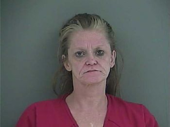 Toni Ann Sutton Mugshot