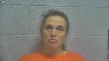 Tonya Lynn Clark Mugshot