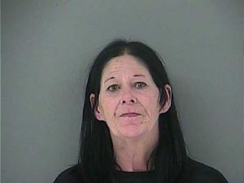 Tracy Lea Brown Mugshot