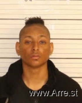 Tyler  Anderson Mugshot