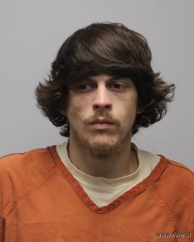 Tyler Bryant Johns Mugshot