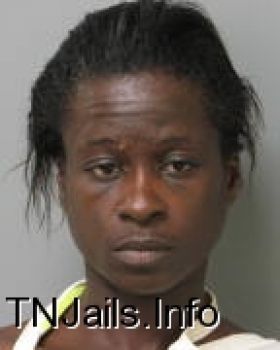 Tammy  Johnson Mugshot