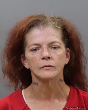 Tammy Sue Martin Mugshot