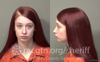 Taylor Leann Anderson Mugshot