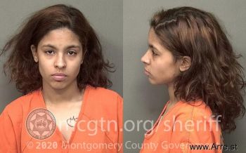 Teresa Guadalupe Rodriguez Mugshot