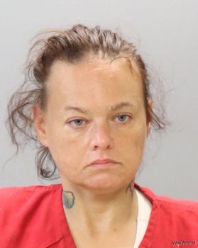 Teresa Lynn Fields Mugshot