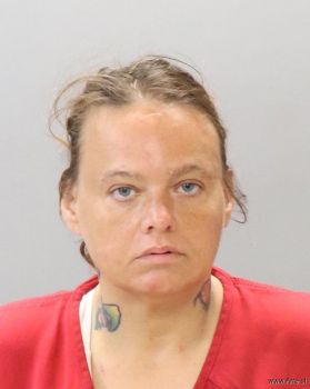 Teresa Lynn Fields Mugshot