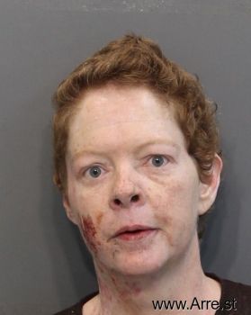 Terri Leann Freeman Mugshot