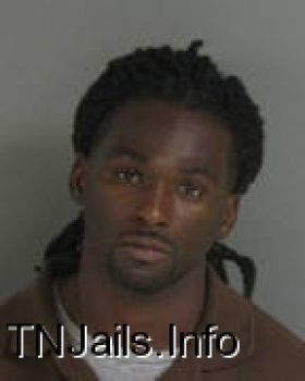 Terry  Scruggs Mugshot