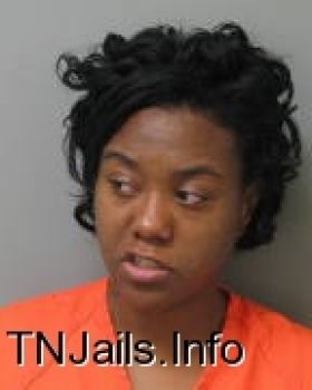 Tina  Johnson Mugshot