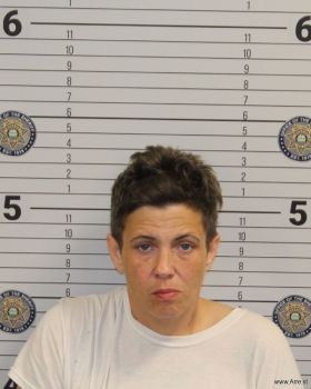 Toni Lynn Miller Mugshot