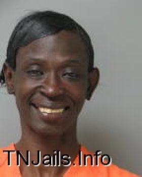 Tonya  Johnson Mugshot