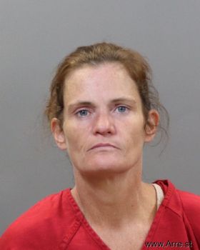 Tonya Lynn Dixon Mugshot