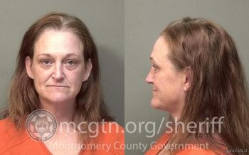 Tracy Lee Meador Mugshot