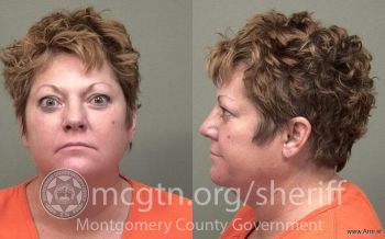 Tracy Lynn Wilson Mugshot