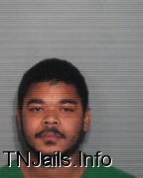 Travis  Davis Mugshot