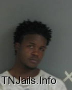 Travis  Finley Mugshot