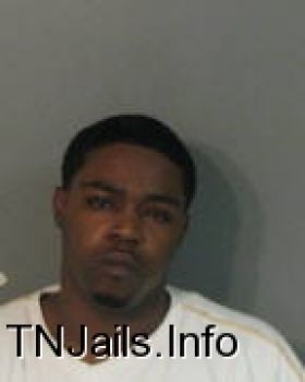 Travis  Williamson Mugshot