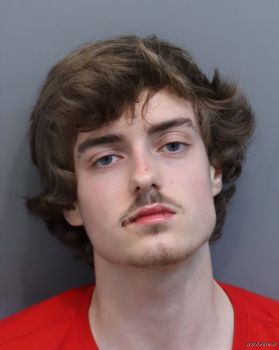 Tyler  Davis Mugshot