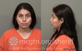 Veronica  Johnson Mugshot