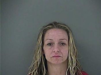 Wendy Lee Guardino Mugshot