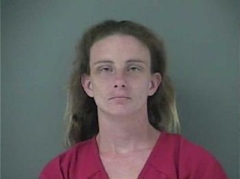 Whitney Ann Carroll Mugshot